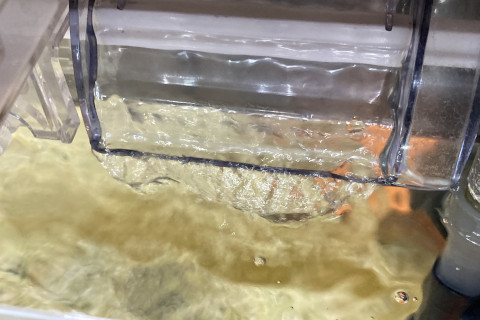 金魚日予知2508a_掃除直後