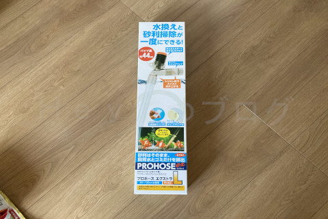 金魚日予知2508c_水槽お掃除10