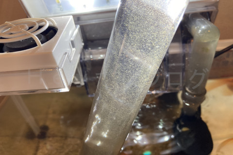 金魚日和2509a_プロホースで底石の中に蓄積された汚れが排水されている様子