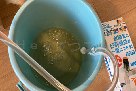 金魚日和2509a_プロホースで水槽の水を排水