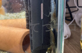 【金魚日和】寒がりなヤマトヌマエビがヒーターに集合！それでも今日もお掃除は欠かしません