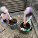 2025年5月第２週レポート_苗を植えるところ